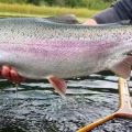 Doug-Elliott_rainbow_Blackwater-River_2018.JPG