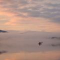 Brian-Smith_sun-up_2018.JPG