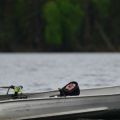 Doug Elliot - relaxing 2014.jpg